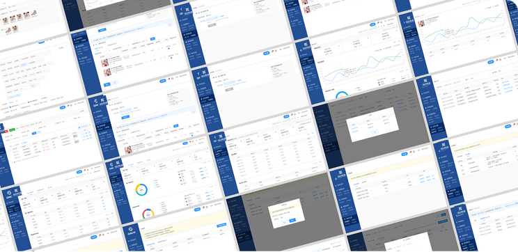 鑫苑（中國）置業(yè)全面財務(wù)預算系統(tǒng)